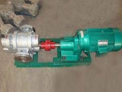 不锈钢罗茨泵泵具有：低转速，效率高，体积小，流量大，消耗功率小，自吸能力强，不用引油，使用方便等特点